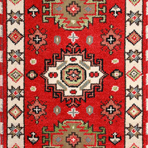 Traditional oriental area rug