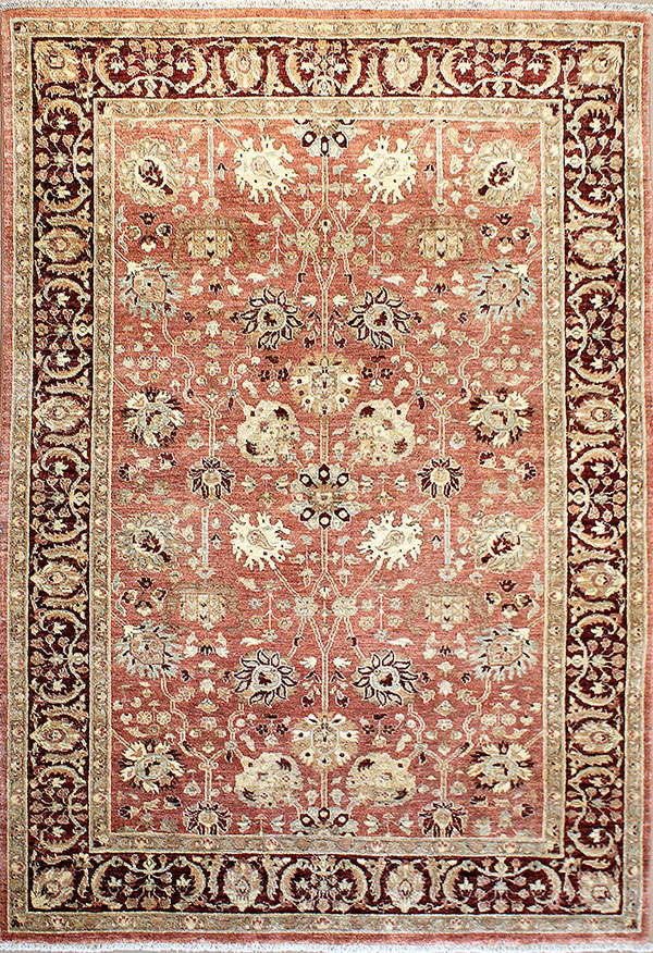 light traditional area rug